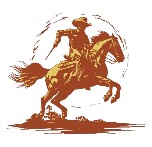 Cowboy on a bronco